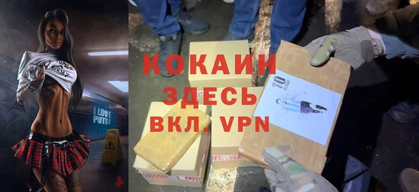 шишки Алзамай