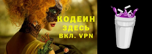 дживик Абинск